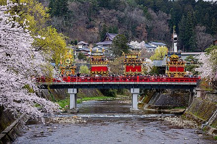 春の高山祭（山王祭） 毎年4月14日・15日