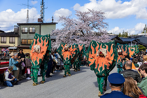 春の高山祭